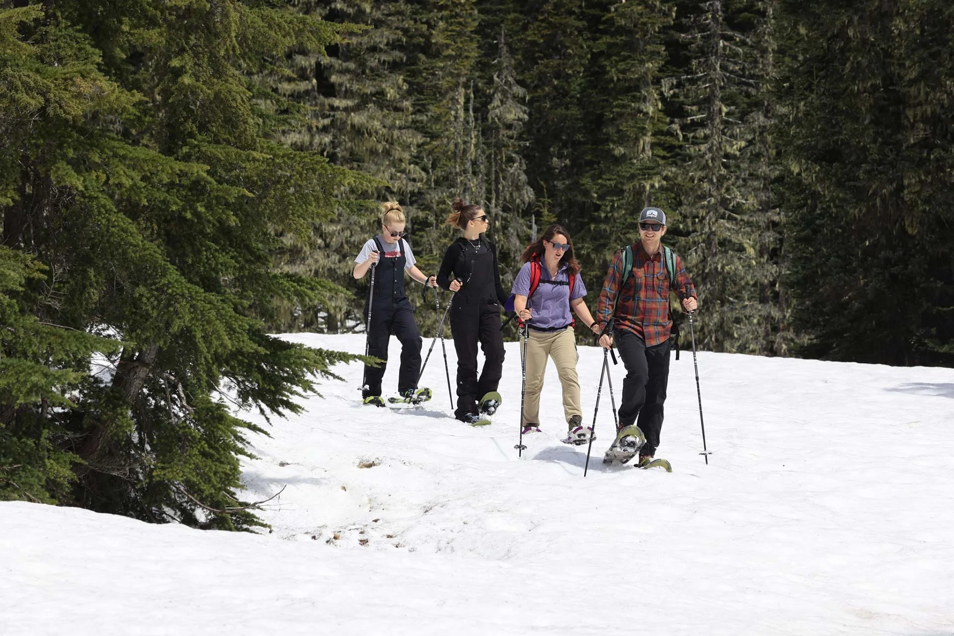 Embrace winter. Step out Into Snowshoes! Store
