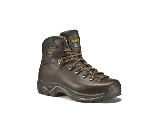 Asolo Men's TPS 520 GV EVO Waterproof Hiking Backpacking Boots Chestnut