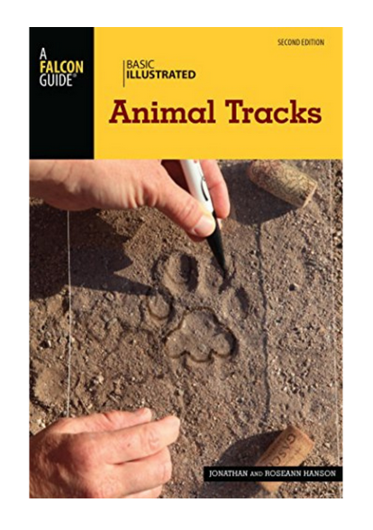 Basic Illustrated Animal Tracks