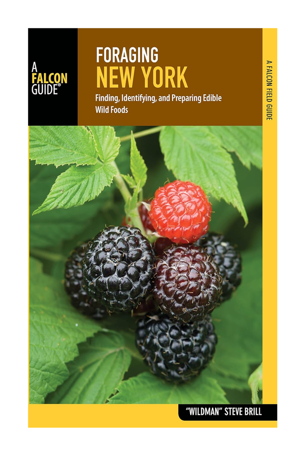 Foraging New York: Finding, Identifying, and Preparing Edible Wild Foods