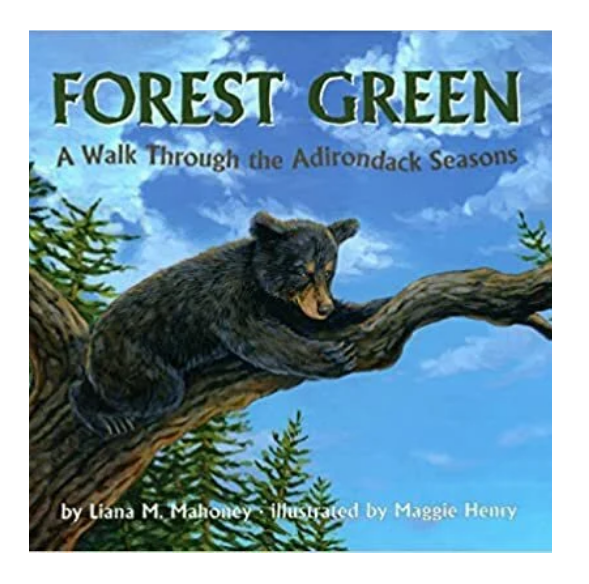 Forest Green - A Walk Through the Adirondack Seasons
