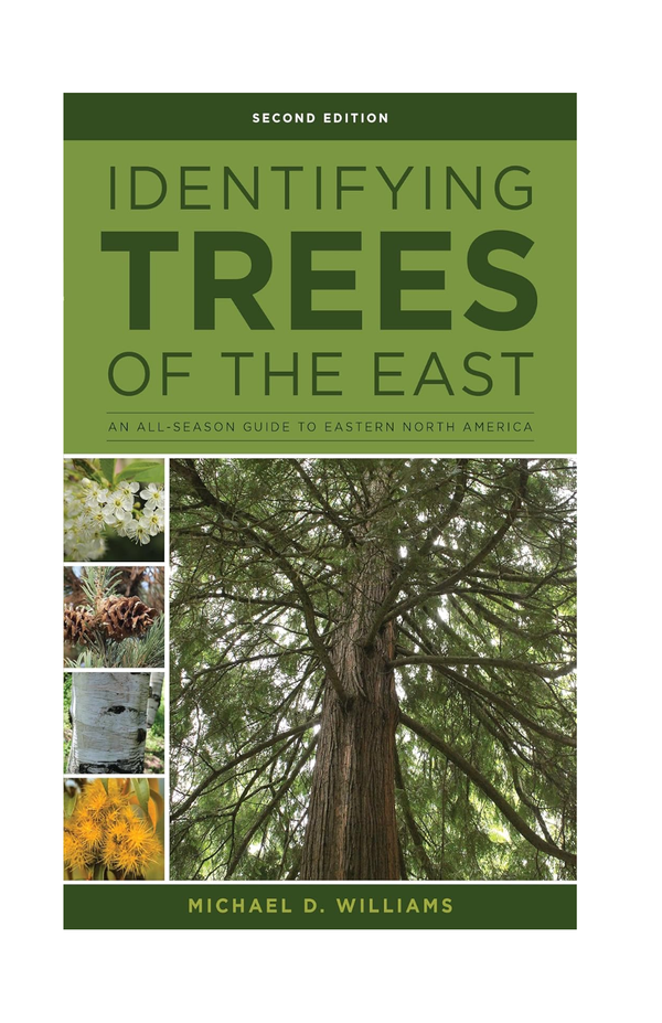 Identifying Trees of the East
