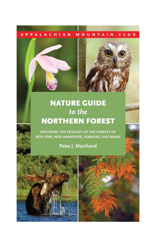 Nature Guide to the Northern Forest
