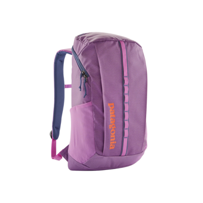 Patagonia Black Hole Pack 25L Backpack Brisk Purple