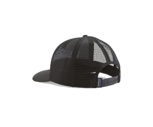Patagonia Fitz Roy Trout Trucker Hat Snap Back
