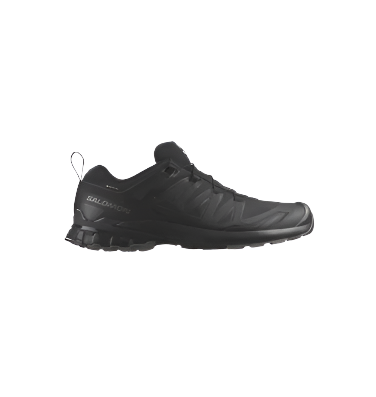 Salomon Men's XA Pro 3D v9 Gore-Tex Trail Running Shoe Black/Phantom/Pewter