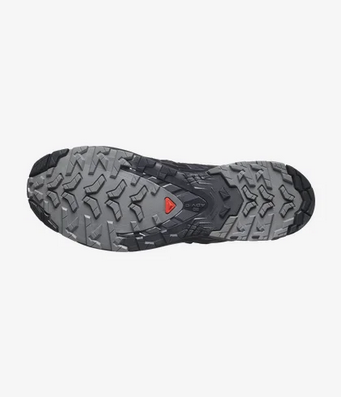 Salomon Men's XA Pro 3D v9 Gore-Tex Trail Running Shoe Black/Phantom/Pewter 3