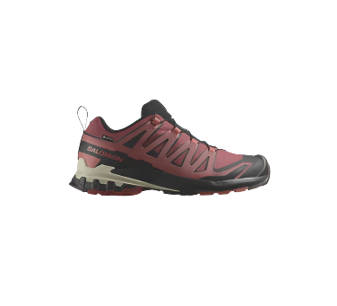 Salomon Women's XA Pro 3D v9 Gore-Tex Trail Running Shoe Cow Hide/Black/Faded Rose