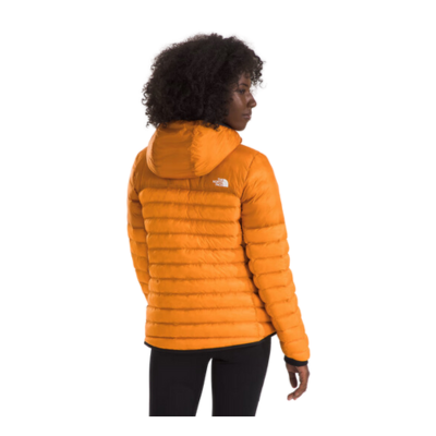 The North Face Women's Terra Peak Down Hoodie Apricot Glaze/Iron Citrus