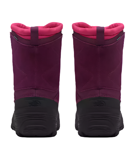 The North Face Youth Alpenglow V Insulated Warm Boot Boysenberry/TNF Black