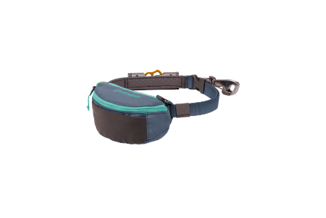 Hitch Hiker Leash