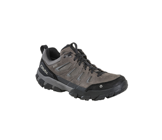 Men's Sawtooth Low BDry Waterproof Shoe